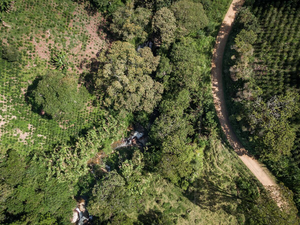 Se deforestaron 125.745 hectáreas en la última década: Informe sobre Parques Naturales