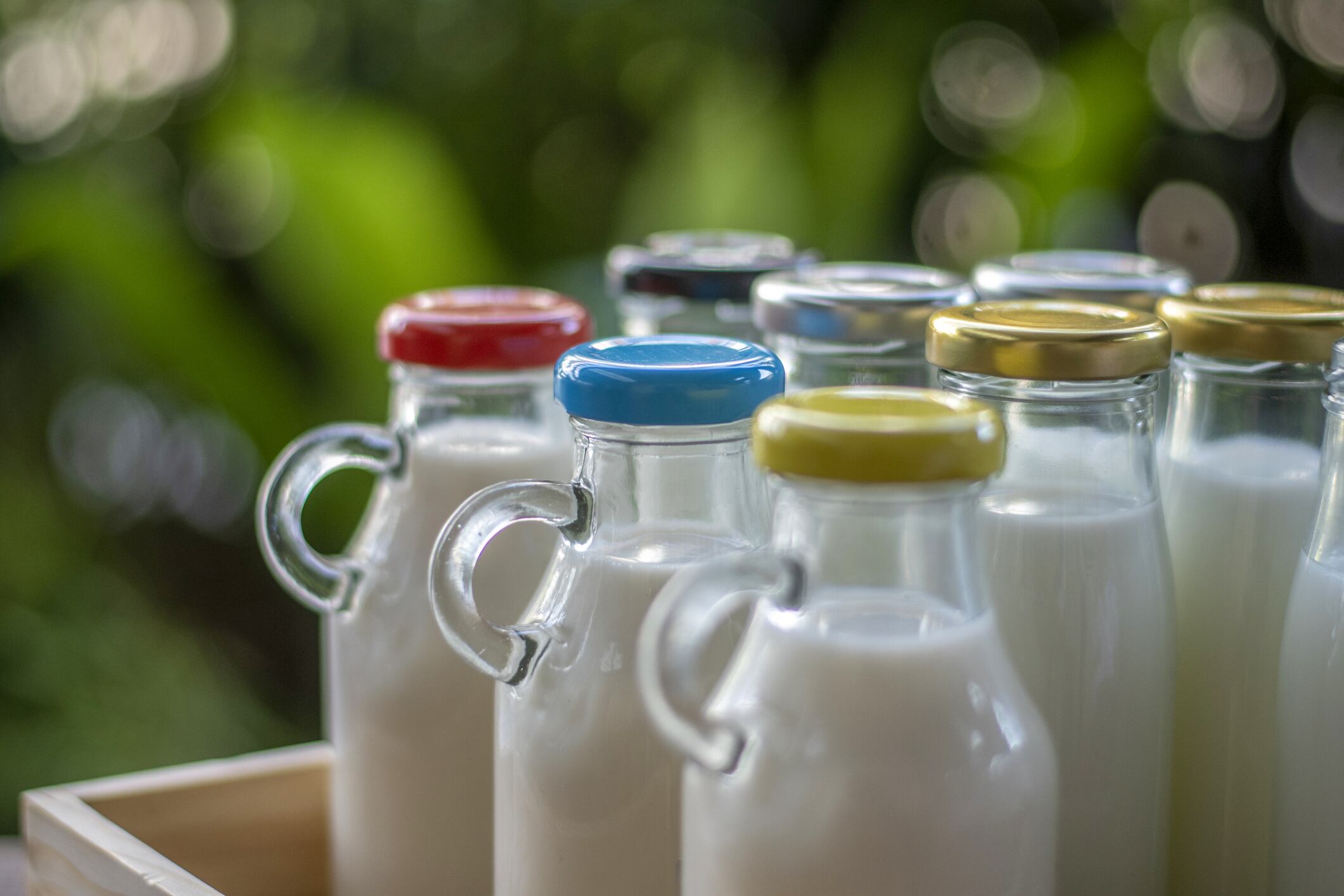 Fedegán niega que haya desabastecimiento de leche en el país / imagen de referencia. Foto: Getty Images