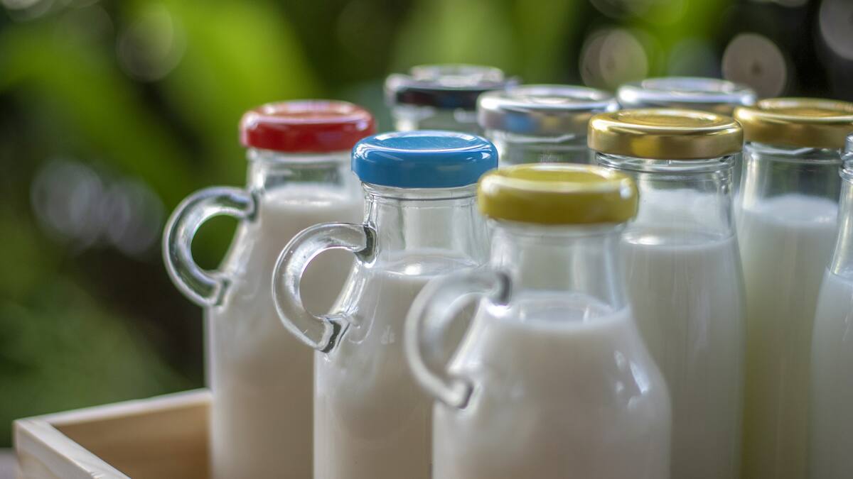 Gremio de la leche pide ayuda al Gobierno para evitar incremento de precios