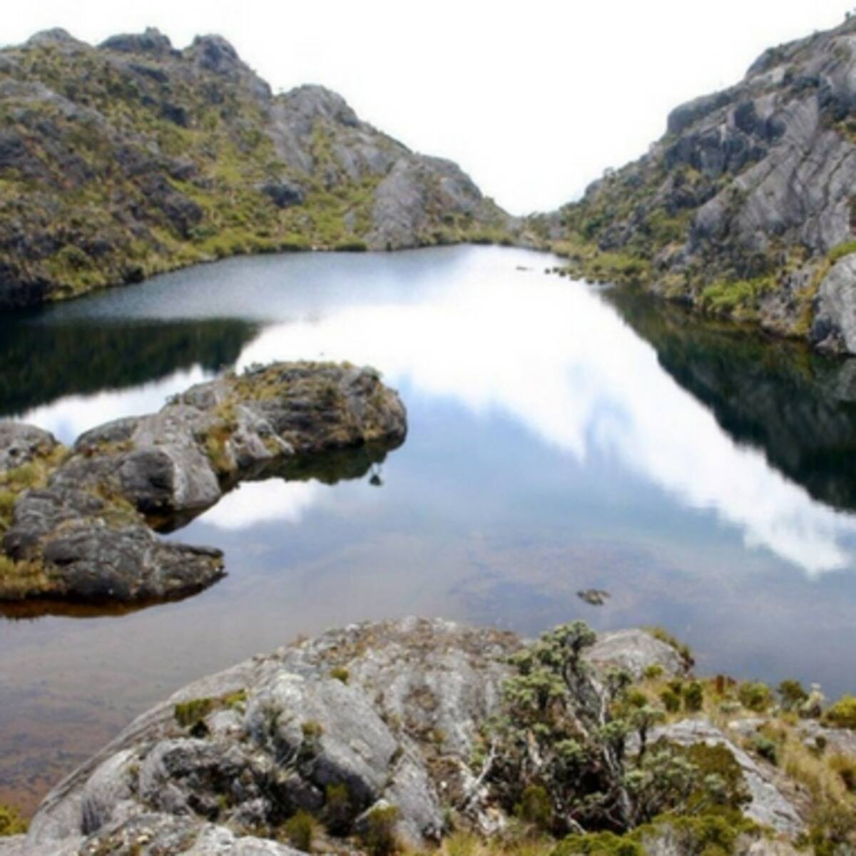 Ambientalistas celebran resolución de MinAmbiente que declara zona de reserva temporal a Santurbán