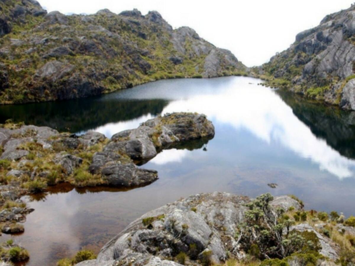 Ambientalistas celebran resolución de MinAmbiente que declara zona de reserva temporal a Santurbán