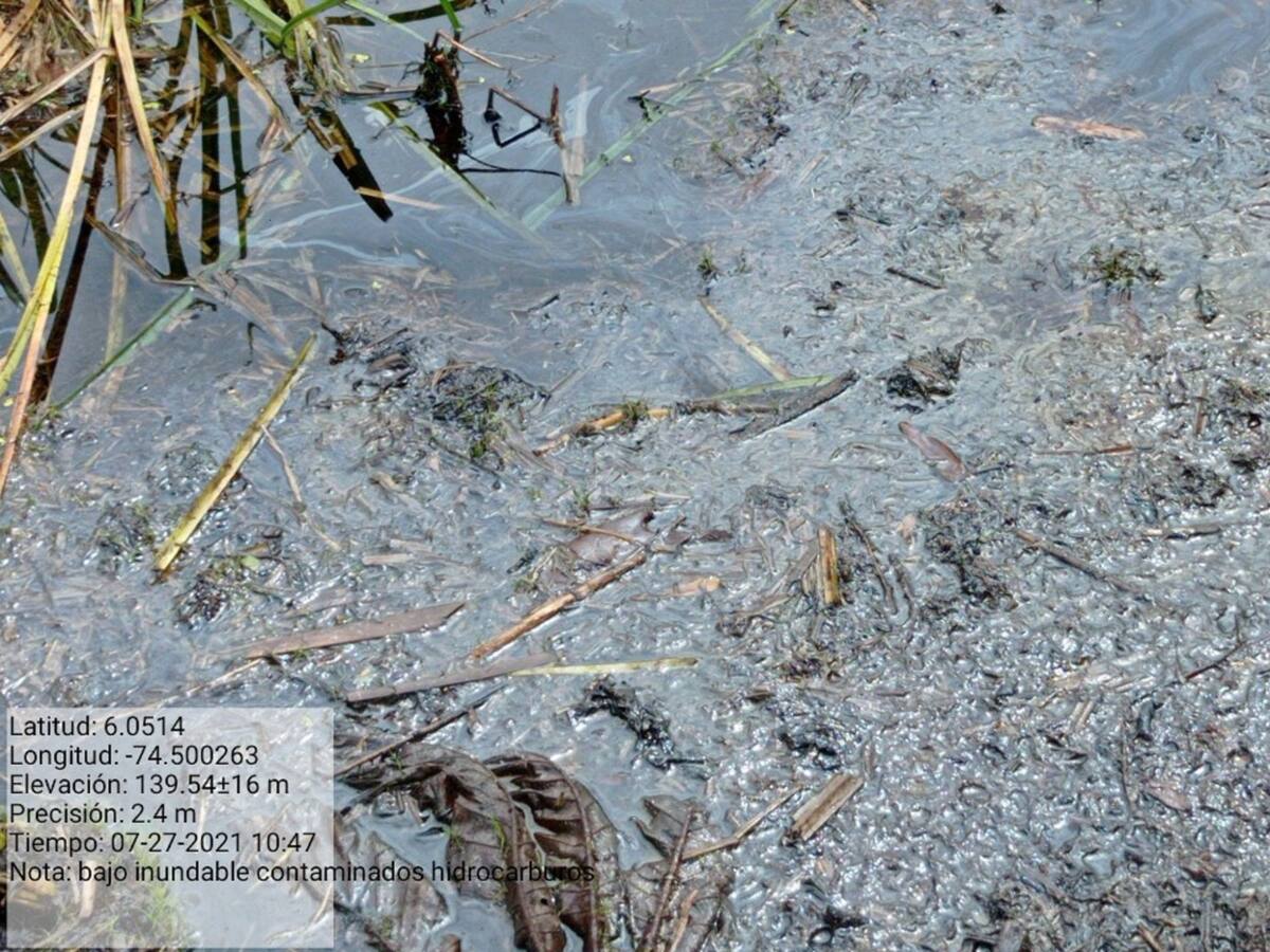 Nuevo pliego de cargos a Mansarovar por campos en Puerto Boyacá