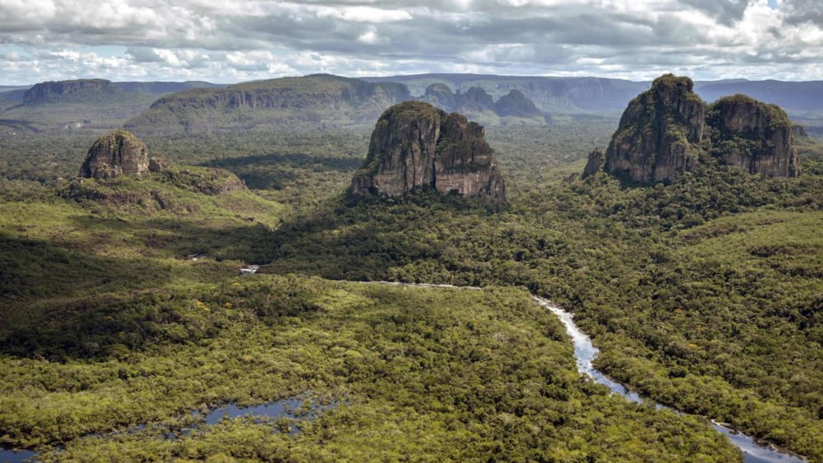 Chiribiquete: primera área protegida que recibirá un millón de dólares para su protección
