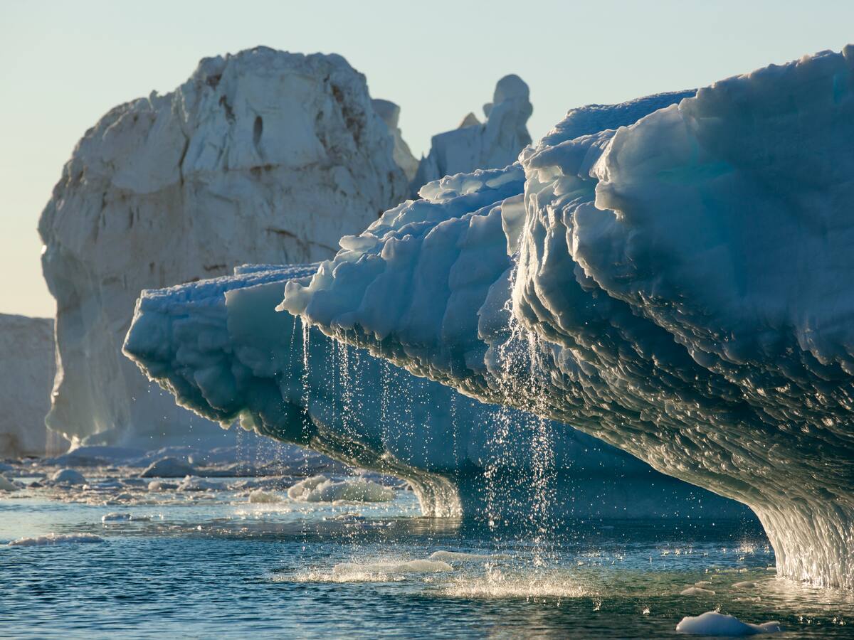 OEA hizo llamado a proteger glaciares en el Día Mundial del agua