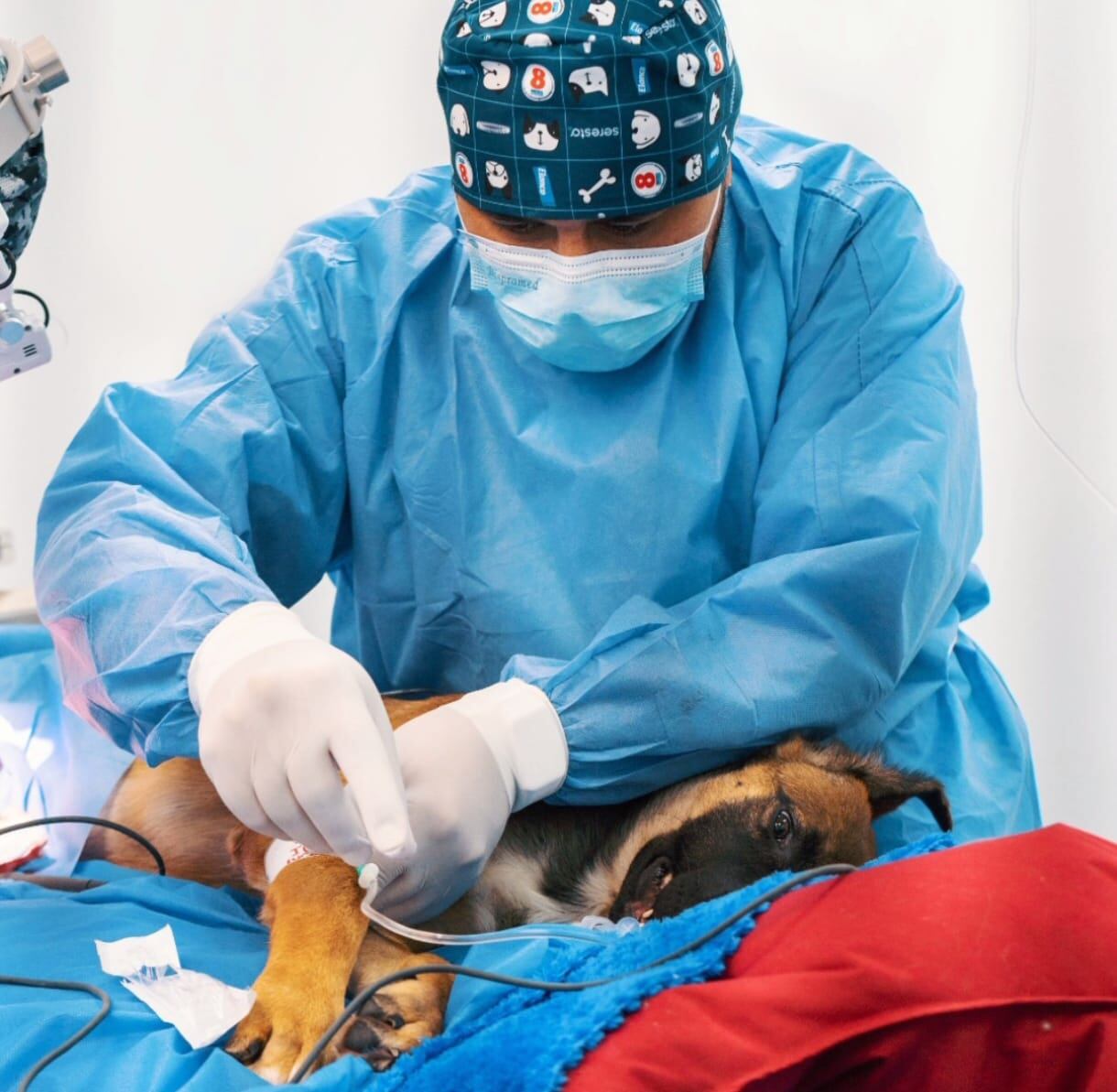 Foto: Alcaldía de Pereira