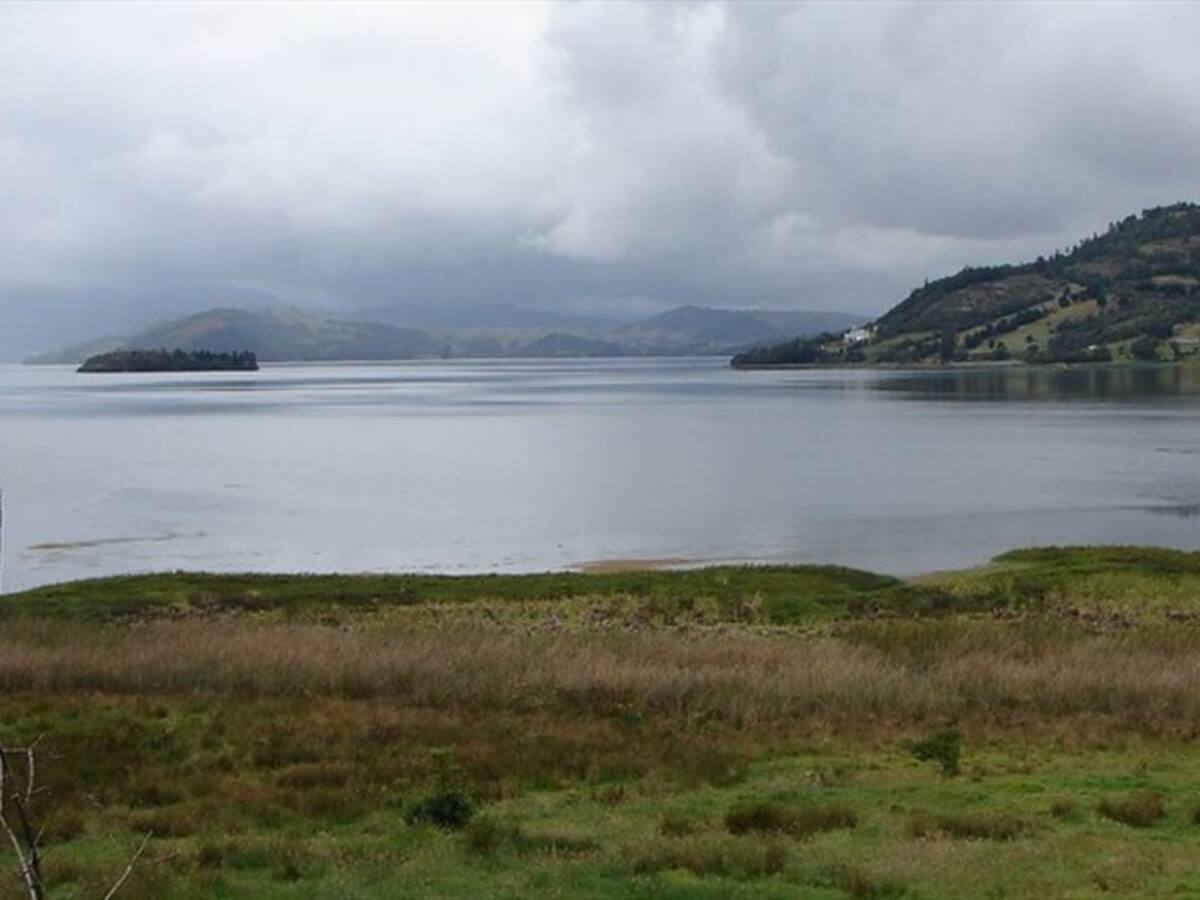 Empresas truchícolas ya no aportan 70% de contaminación en Lago de Tota
