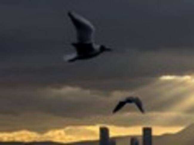 Foto: Mahmut Serdar Alakus/Anadolu Agency/Getty Images.