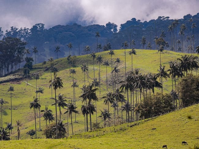 Tolima, el destino turístico que enamora a Colombia y el mundo
