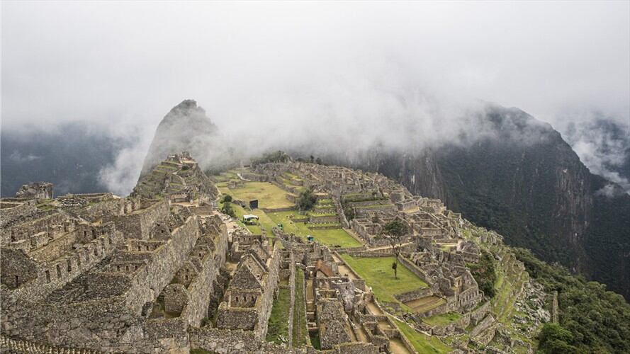 Dos osos de anteojos en peligro de extinción fueron captados paseando por la ciudadela inca de Machu Picchu. Foto: ERNESTO BENAVIDES / AFP