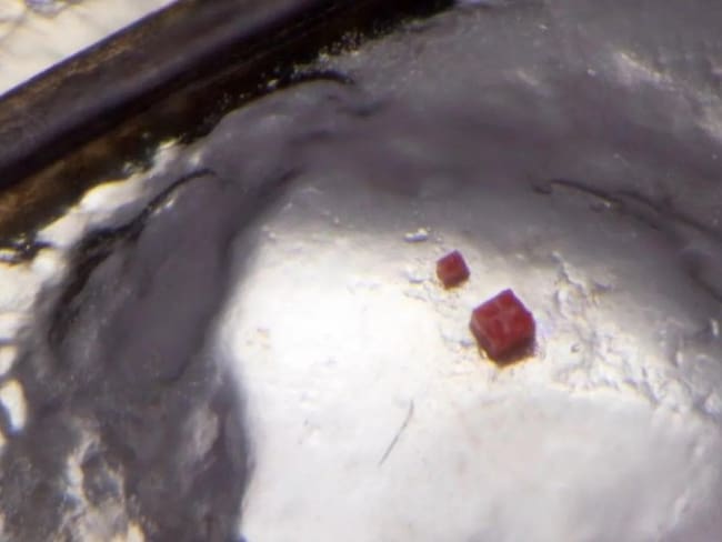 ¿Cómo se construyó el bloque de LEGO más pequeño del mundo? Su creador contó los detalles