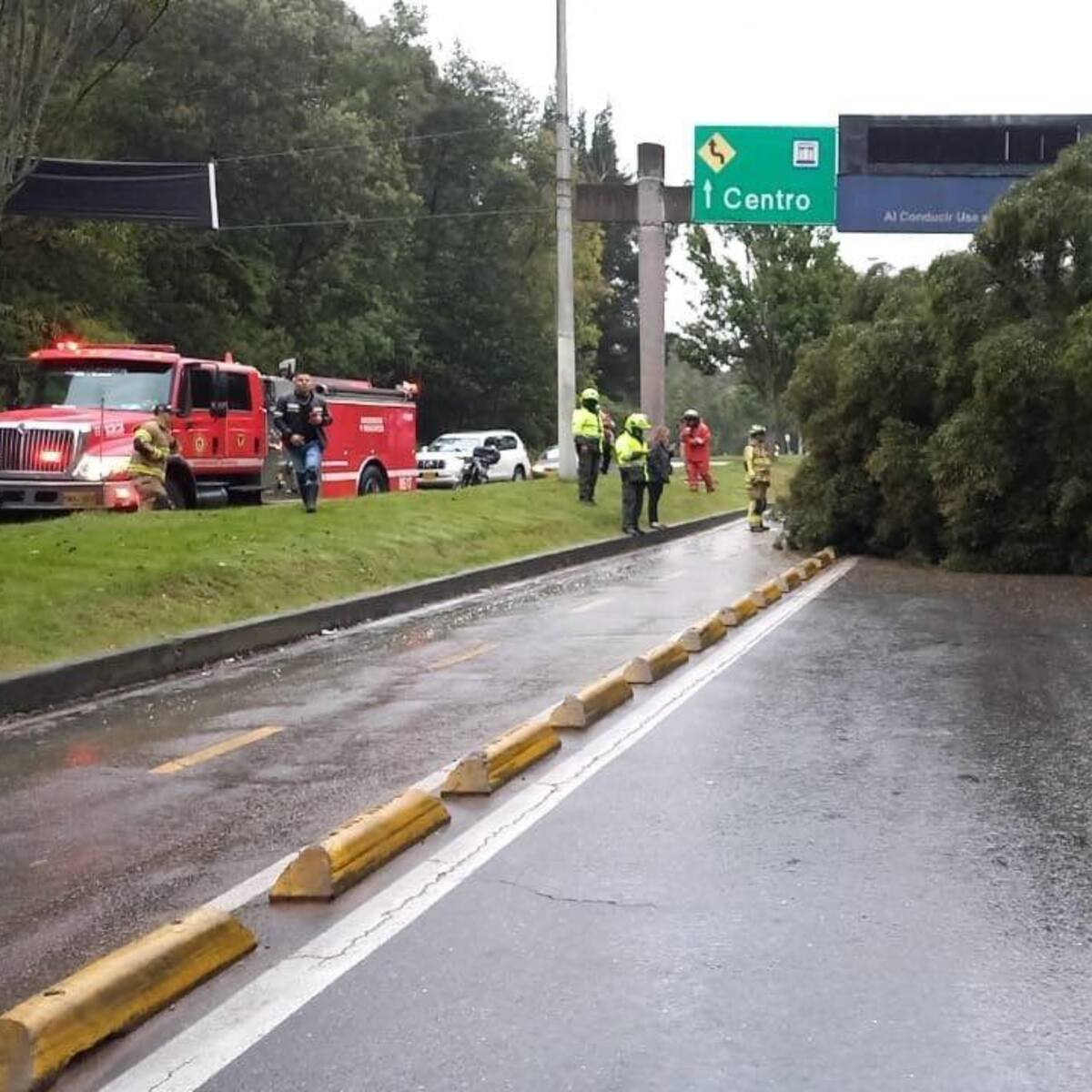 Árbol caído generó caos en la movilidad del norte de Bogotá