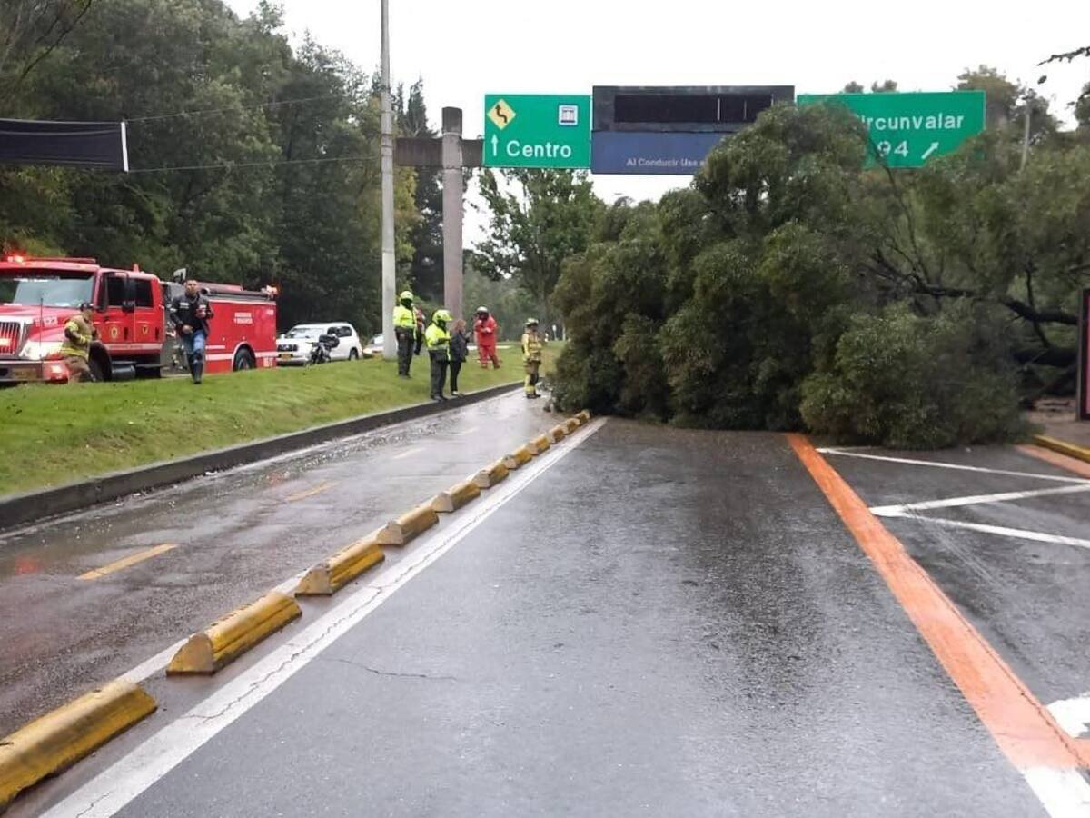 Árbol caído generó caos en la movilidad del norte de Bogotá