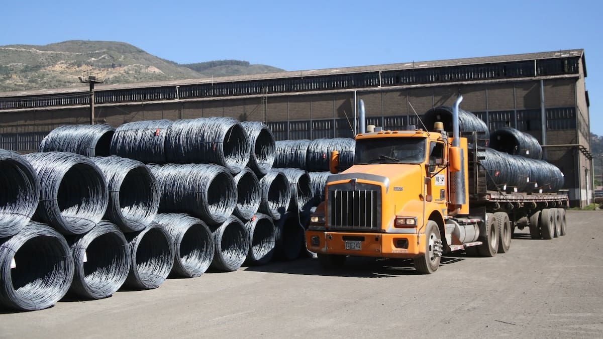 “El Gobierno tiene en sus manos la superviviencia del sector del acero”: Paz del Río