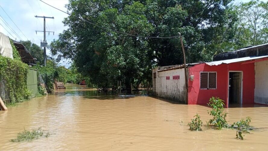 Así se han disparado los casos de dengue en el departamento de Córdoba. Foto: cortesía