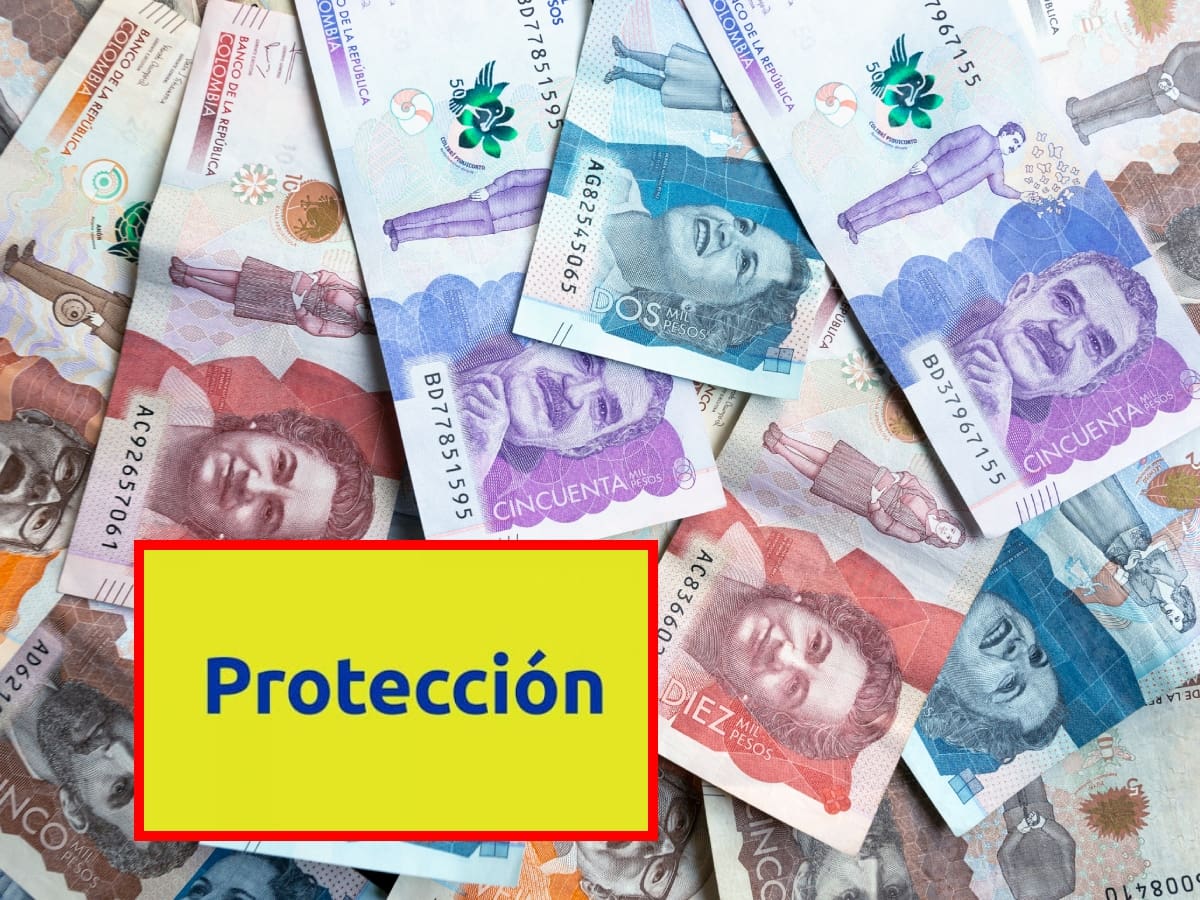 Paso a paso para consultar el saldo de sus cesantías en Protección: datos a tener en cuenta