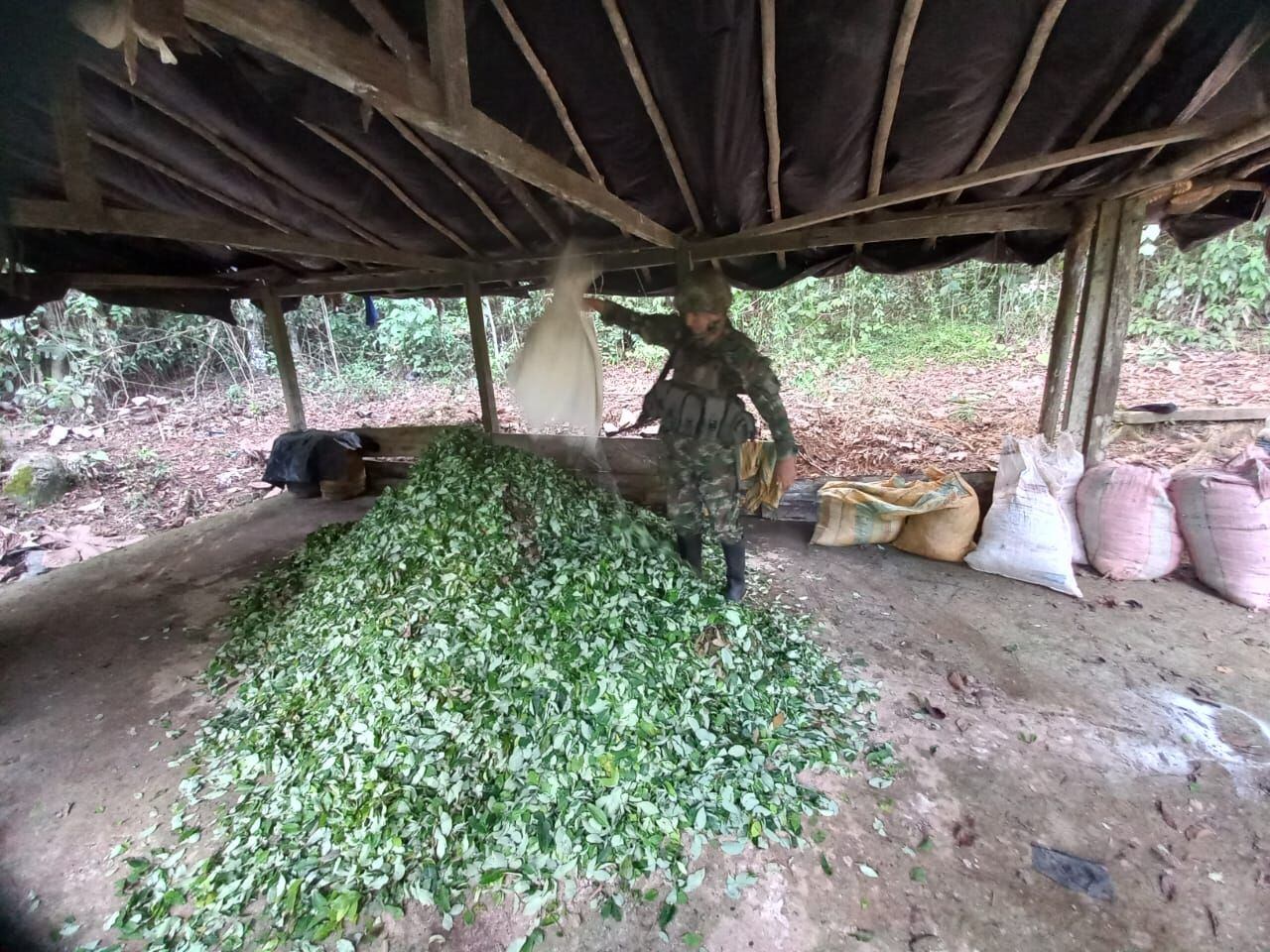 Destruyen 10 laboratorios para el procesamiento de cocaína en el sur de Córdoba. Foto: Ejército Nacional.