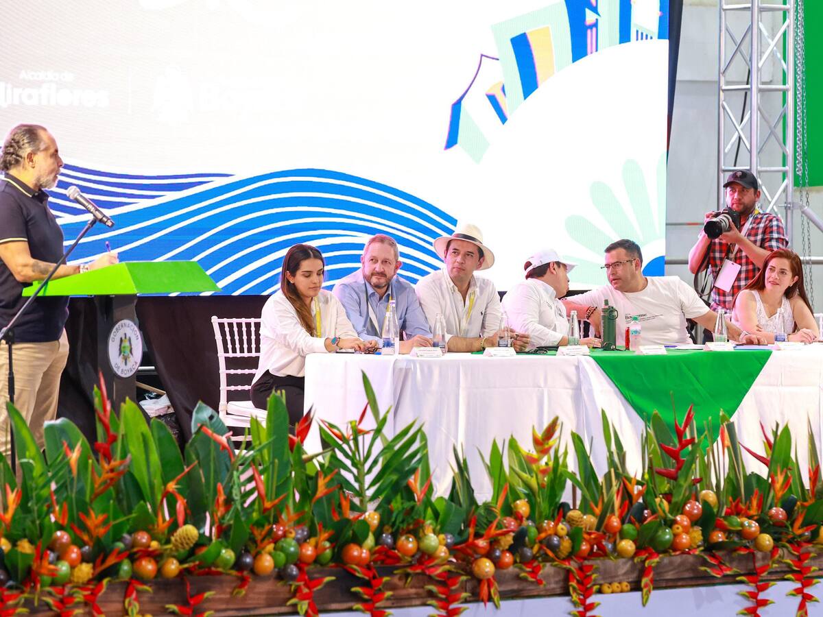 Benedetti aseguró que se enviaría mensaje de urgencia al Senado para aprobar la reforma a la salud