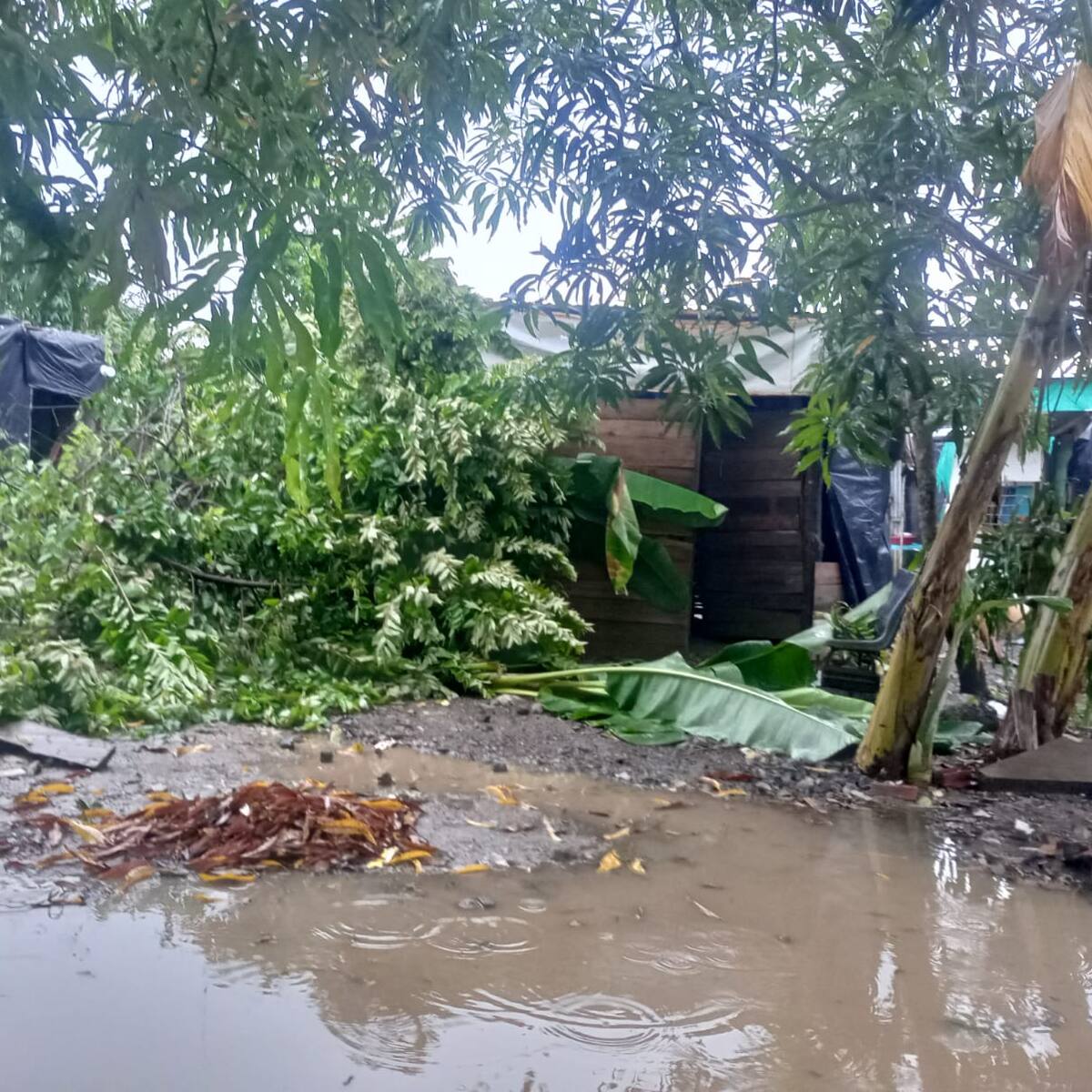 Emergencia en Montería por fuertes lluvias: varios sectores amanecieron inundados