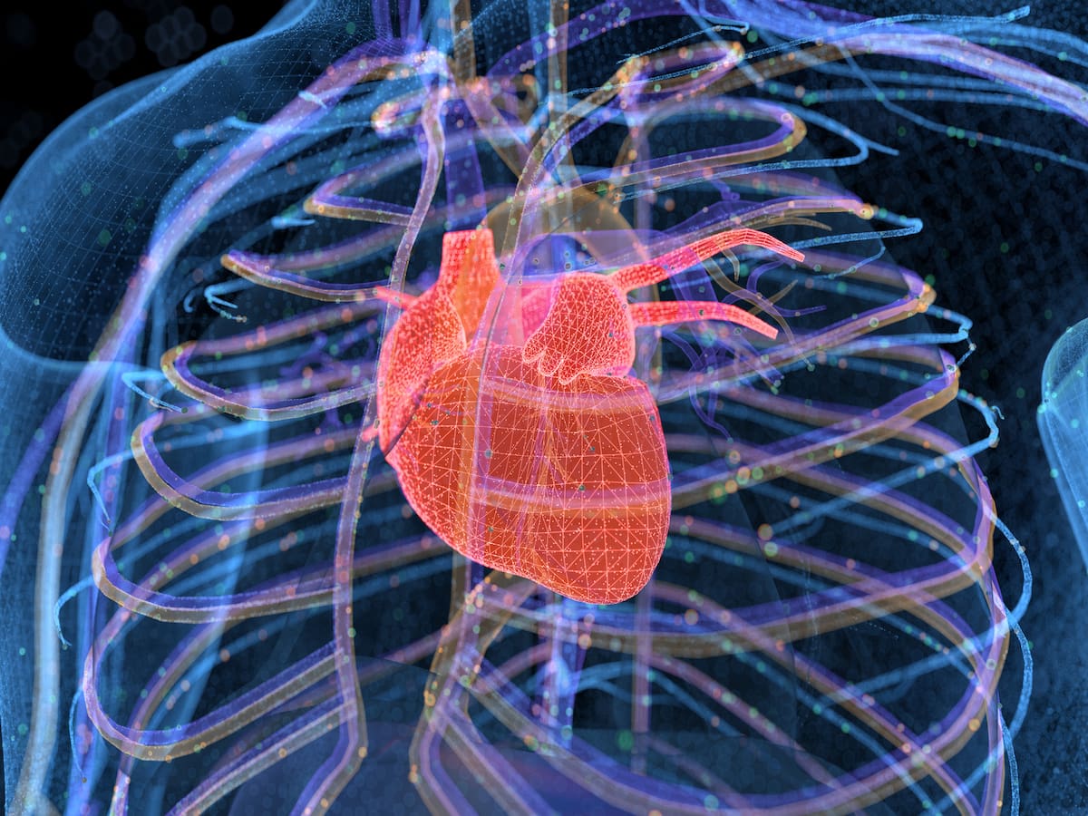 ¿Cuál es el efecto de la alimentación durante festividades en el corazón? Cardiólogo dio detalles