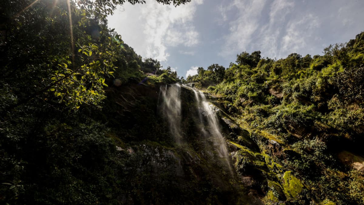 La cascada más alta de Colombia mide 590 metros: ¿en qué municipio queda?