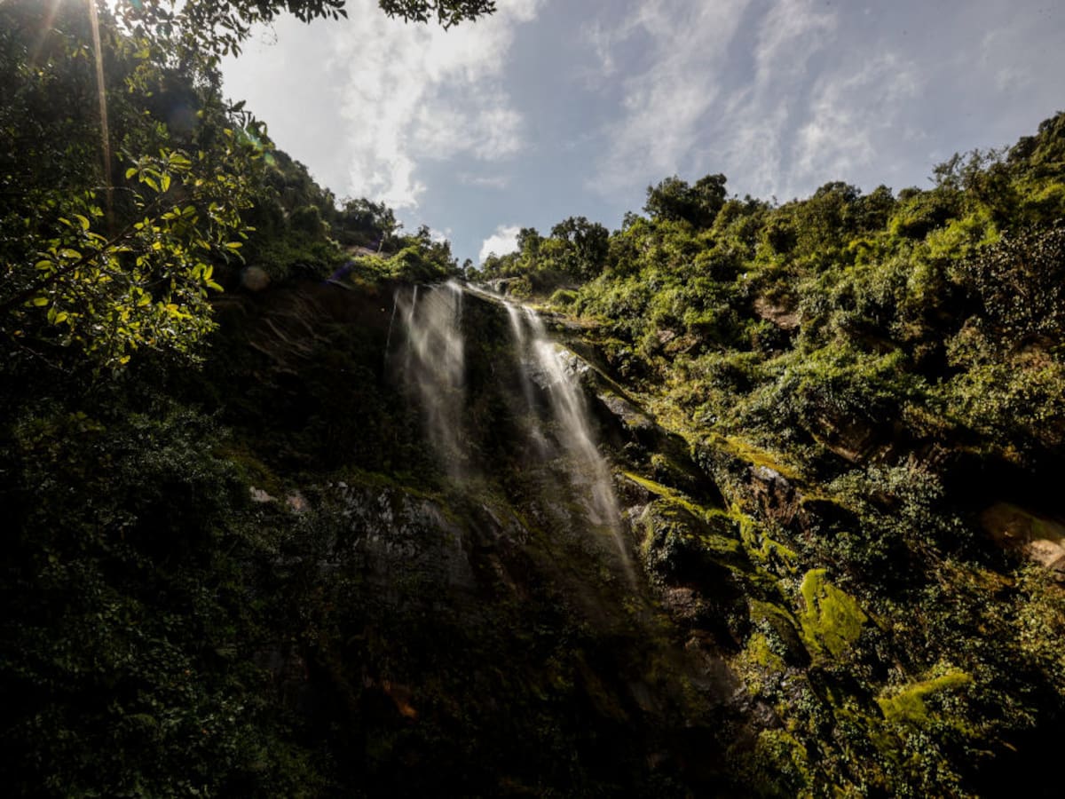 La cascada más alta de Colombia mide 590 metros: ¿en qué municipio queda?