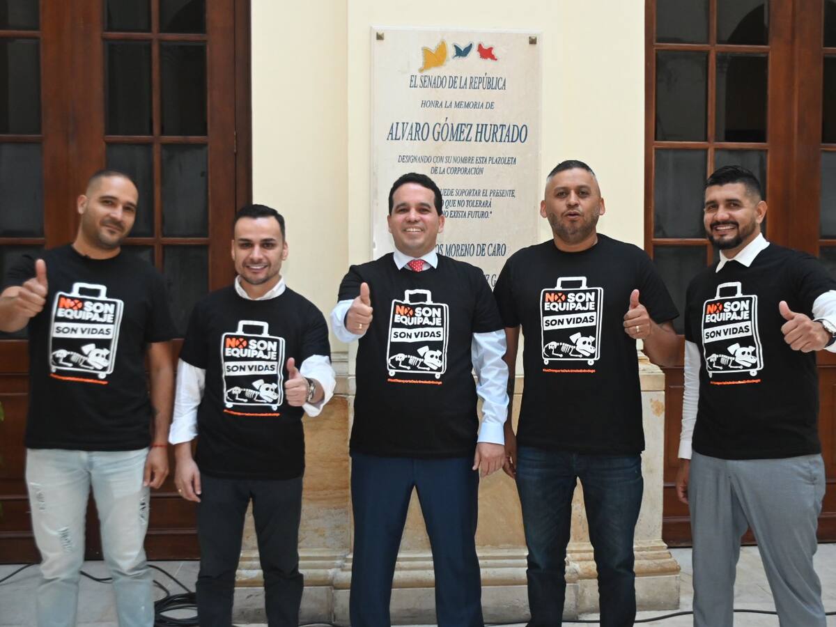 Proyecto de ley busca regular el desplazamiento de animales en el transporte público