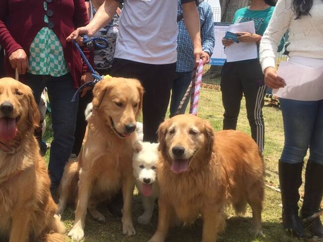 Inauguración primer parque para perros. Foto: Instituto de protección y bienestar animal de Bogotá