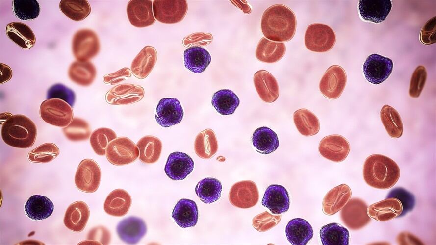 ¿Qué es la memoria inmunitaria y cómo es su respuesta ante otro contagio de COVID?. Foto: Getty Images/ KATERYNA KON/SCIENCE PHOTO LIBRARY