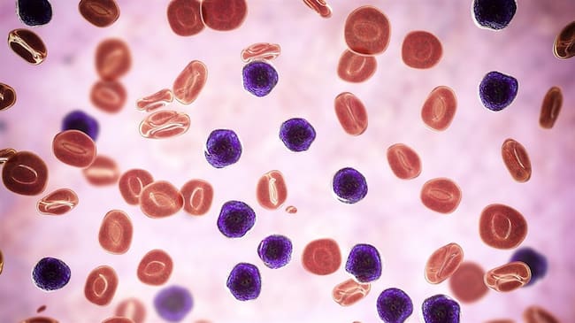 ¿Qué es la memoria inmunitaria y cómo es su respuesta ante otro contagio de COVID?. Foto: Getty Images/ KATERYNA KON/SCIENCE PHOTO LIBRARY