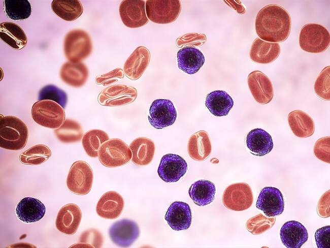 ¿Qué es la memoria inmunitaria y cómo es su respuesta ante otro contagio de COVID?. Foto: Getty Images/ KATERYNA KON/SCIENCE PHOTO LIBRARY