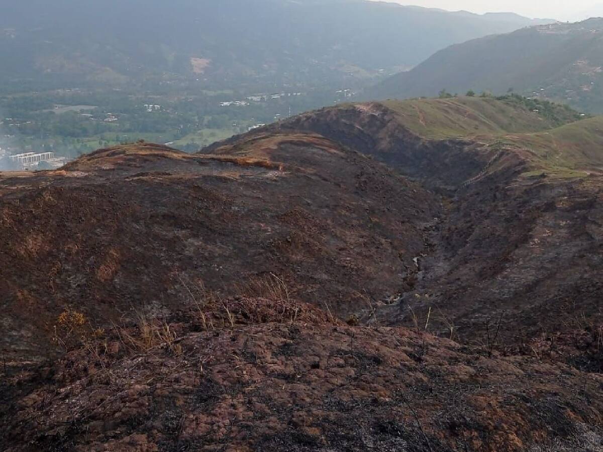 Incendio en Piedecuesta consumió más de 40 hectáreas de bosque virgen
