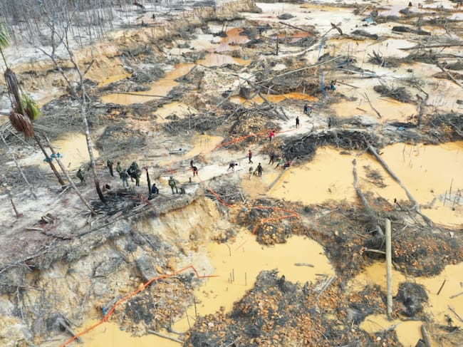 Fuerzas Militares desmantela mina ilegal que depredaba las selvas de Guainía: Foto: Cortesía Fuerzas Militares