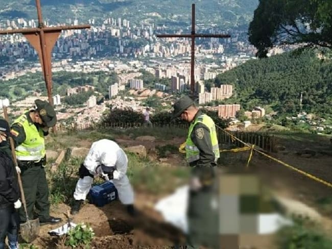 Investigan tortura y asesinato de 42 gatos en Medellín
