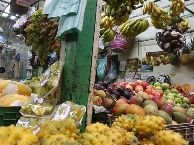 Imagen de referencia. Foto: Colprensa