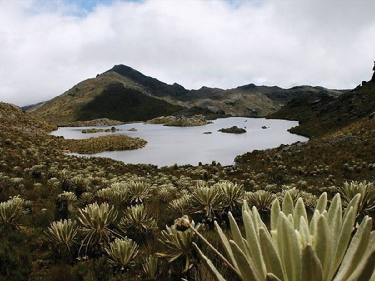 Anla aumentó los requerimientos a proyecto de Minesa en Santurbán