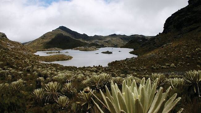Anla aumentó los requerimientos a proyecto de Minesa en Santurbán . Foto: Colprensa