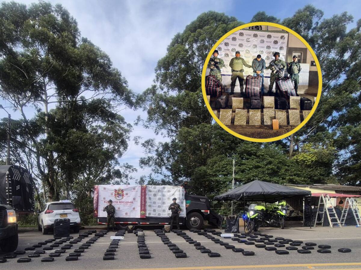Golpe al narcotráfico en el Cauca: incautan marihuana y cocaína valuada en más de $800 millones