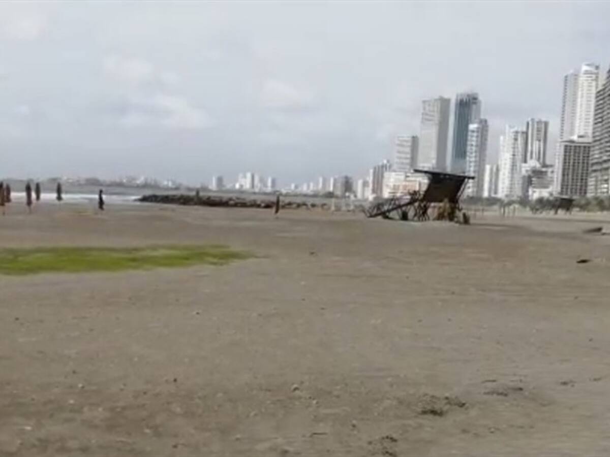 Cuatro consorcios presentaron cotización en pujan por la Protección Costera de Cartagena