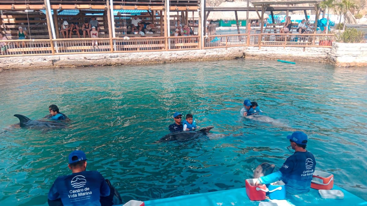 13 niños con autismo recibieron terapias con delfines en el acuario de Santa Marta