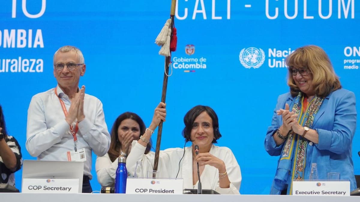 Aprueban órgano subsidiario para indígenas y reconocen rol afrodescendiente en la COP16