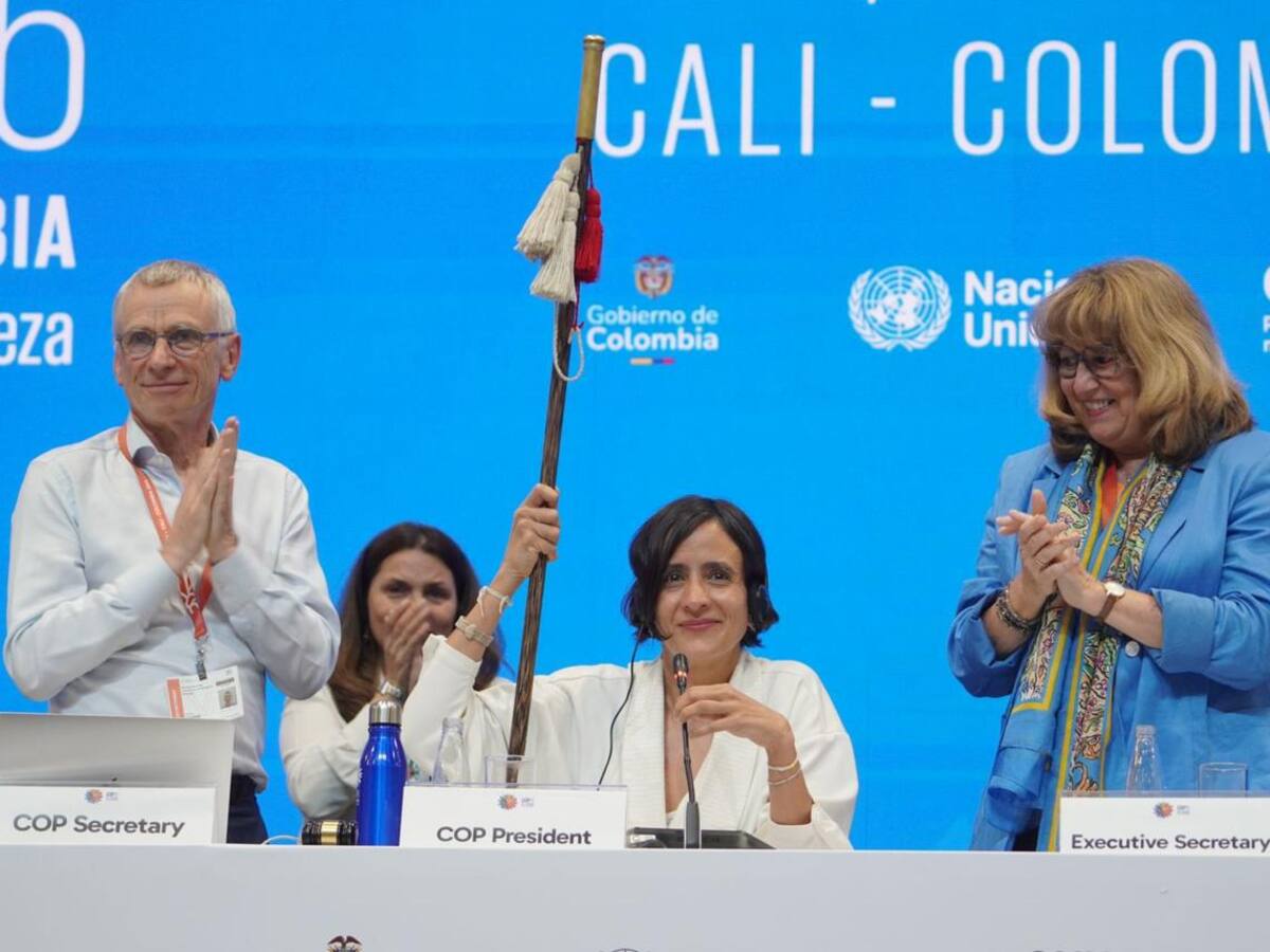 Aprueban órgano subsidiario para indígenas y reconocen rol afrodescendiente en la COP16