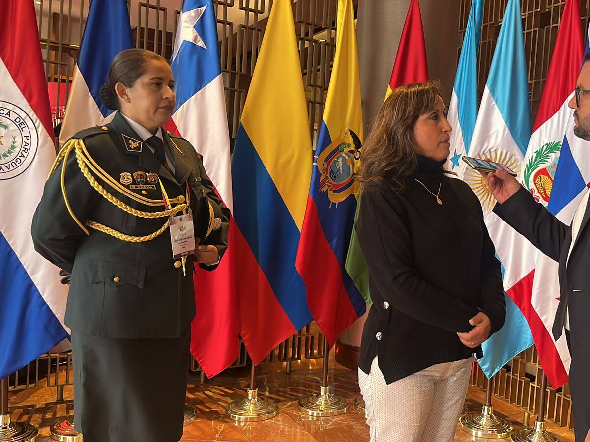 Pido que permitan a Pedro Castillo terminar su Gobierno: vicepresidenta de Perú