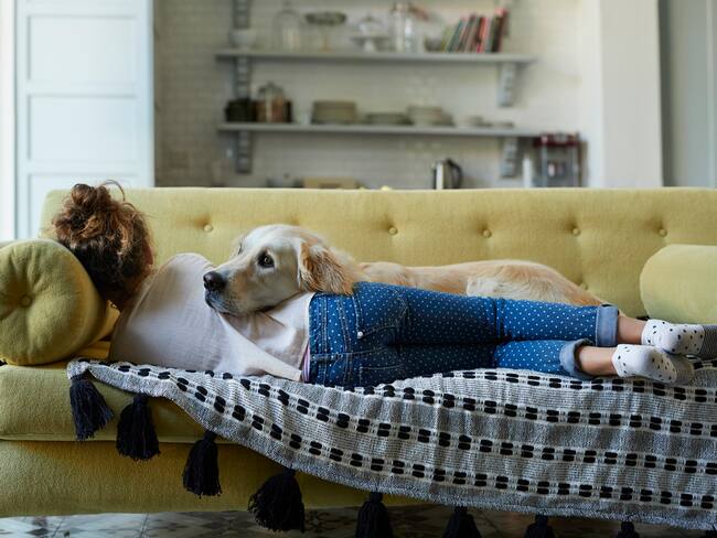 Imagen de referencia.