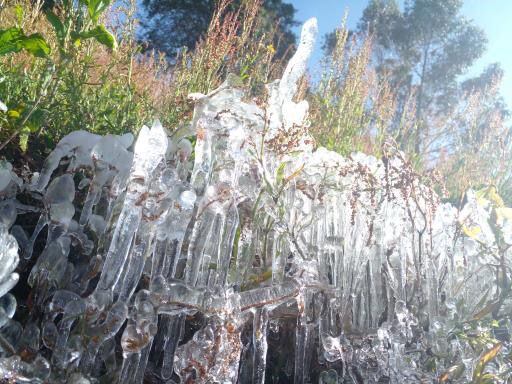 Heladas en Norte de Santander. / Foto: Cortesía habitantes Páramo del Santurbán - Freddy Maldonado.