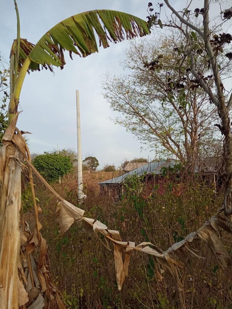 La Gobernación de Córdoba no ha terminado contrato de electrificación: campesinos. Foto: cortesía. 