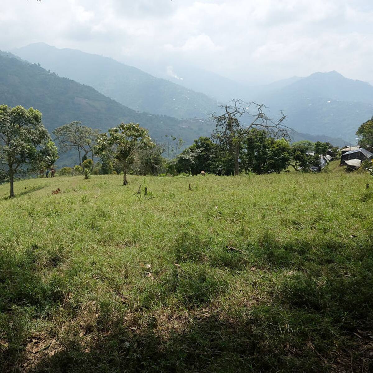 Proyecto de paz total: sometidos se quedarían con el 12% de sus bienes y habría colonias agrícolas