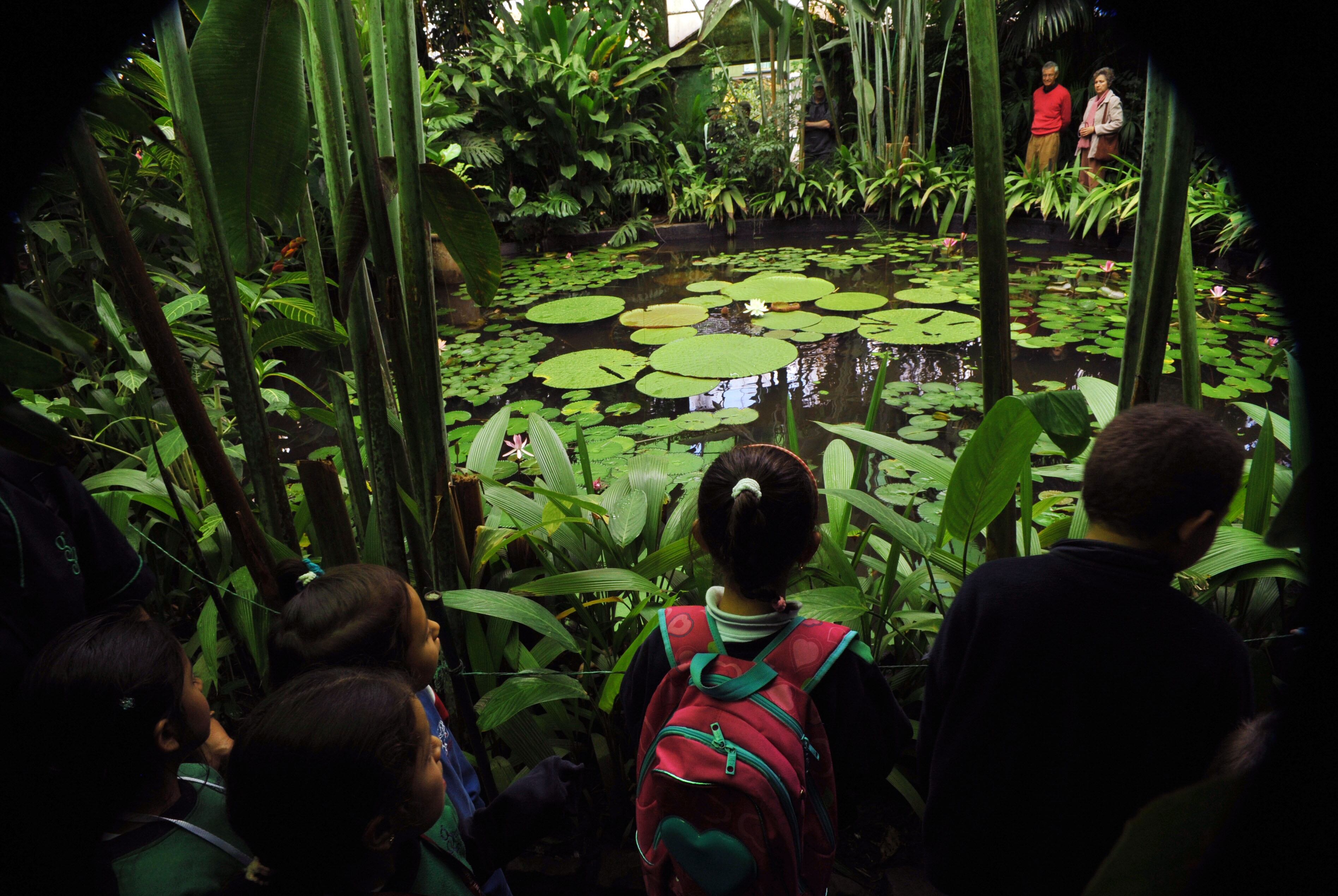 Jardín Botánico de Bogotá. FOTO: GUILLERMO LEGARIA/AFP via Getty Images