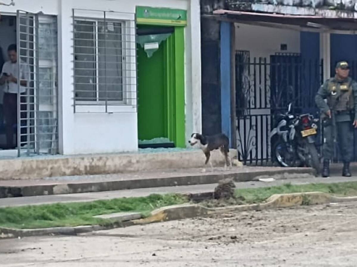 Seis civiles heridos dejó ataque con granada de fragmentación en Guaranda, Sucre