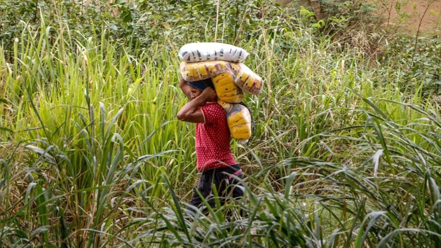 La W conoció en primicia que el Ministerio Público solicitó frenar los pagos de dichos contratos tras encontrar escandalosas irregularidades en los mismos. Foto: Getty Images
