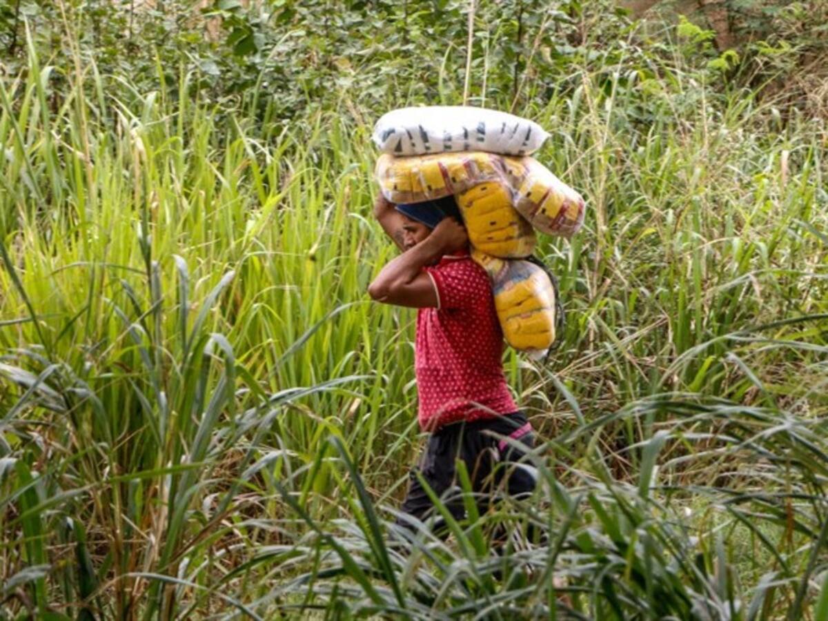 La escandalosa compra de mercados en el Cesar que encontró la Procuraduría